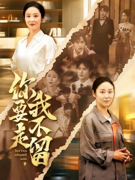 你要走我不留全集