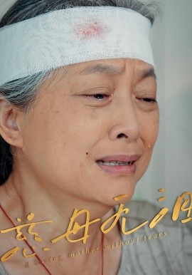 慈母无泪全集