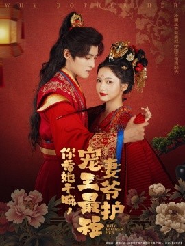 你惹她干嘛，宠妻王爷最护短全集