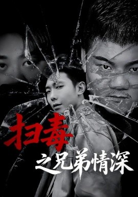 扫毒之兄弟情深全集