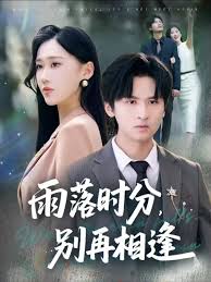 雨落时分别再相逢全集