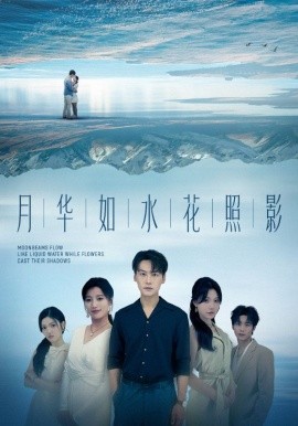 月华如水花照影全集