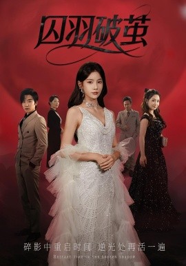 囚羽破茧全集