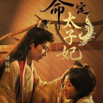 命定太子妃全集
