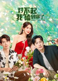 对不起我磕到你了全集