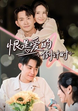 恨是爱的倒计时全集