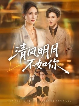 清风明月不如你全集