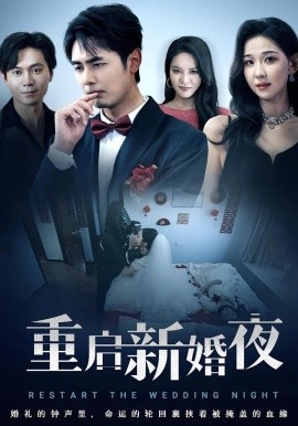 重启新婚夜全集