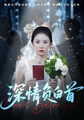 深情负白首全集