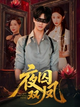 夜囚双凤全集