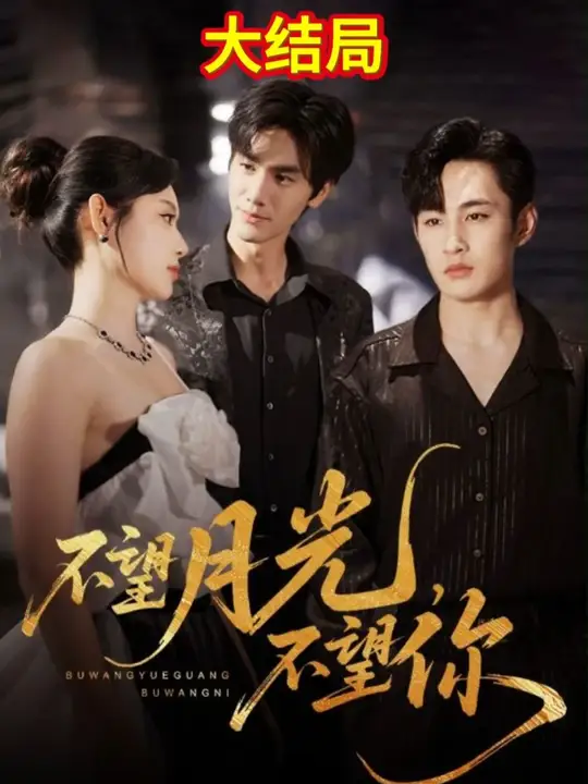 不望月光不望你全集