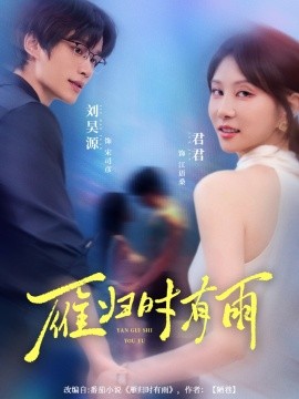 雁归时有雨全集