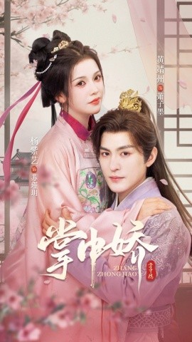 掌中娇94集全集