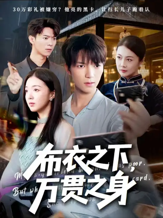 布衣之下万贯之身全集