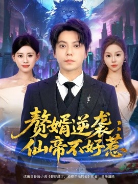 赘婿逆袭：仙帝不好惹全集