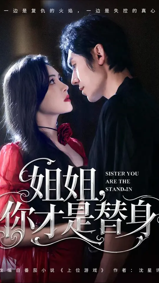 姐姐你才是替身全集