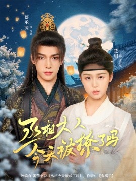 丞相大人今天被撩了吗全集