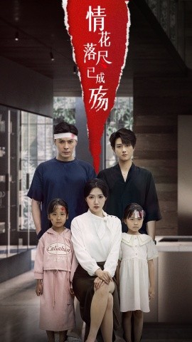 情花落尽已成殇全集