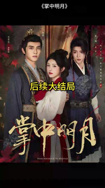 掌中明月全集