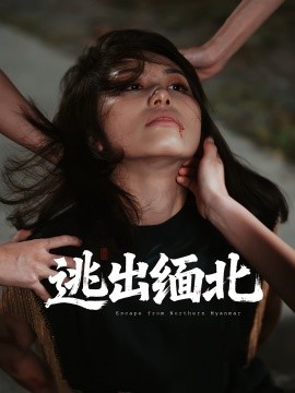 逃出缅北全集