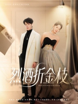 烈酒折金枝全集