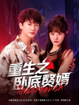 重生之卧底赘婿全集