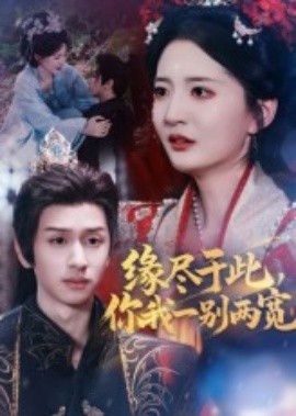 缘尽于此你我一别两宽全集