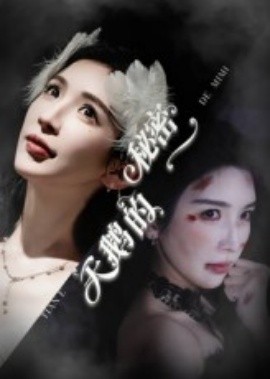 天鹅的秘密全集