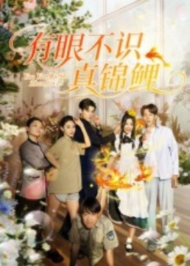 有眼不识真锦鲤全集