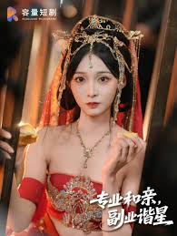 专业和亲，副业谐星全集