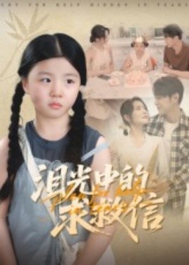 泪光中的求救信全集