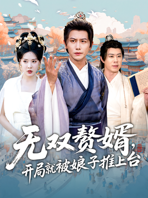 无双赘婿开局就被娘子推上台全集