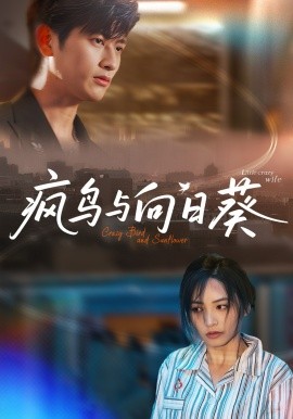 疯鸟与向日葵全集