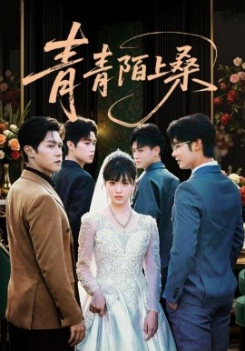 青青陌上桑全集