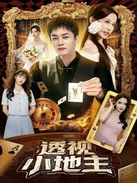 透视小地主全集