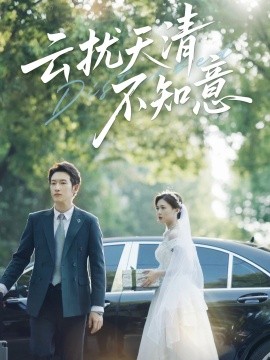 云扰天清不知意全集