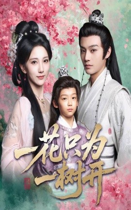 一花只为一树开全集