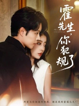 霍先生你犯规了全集