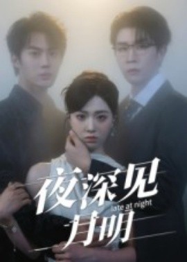 夜深见月明全集