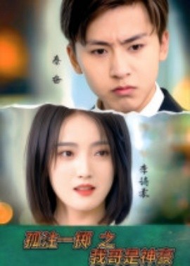 孤注一掷之我哥是神豪全集