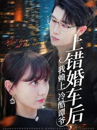 上错婚车后我赖上冷酷谭爷全集