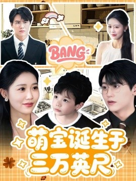 萌宝诞生于三万英尺全集