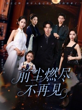 前尘燃尽不再见全集