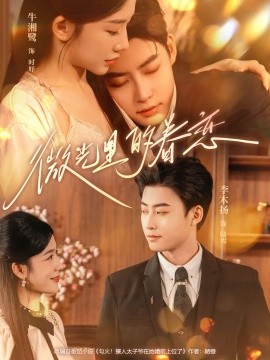 微光里的眷恋全集