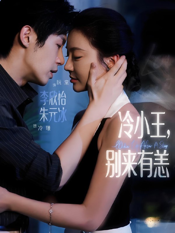 冷小王别来有恙全集