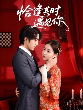 恰逢其时遇见你全集