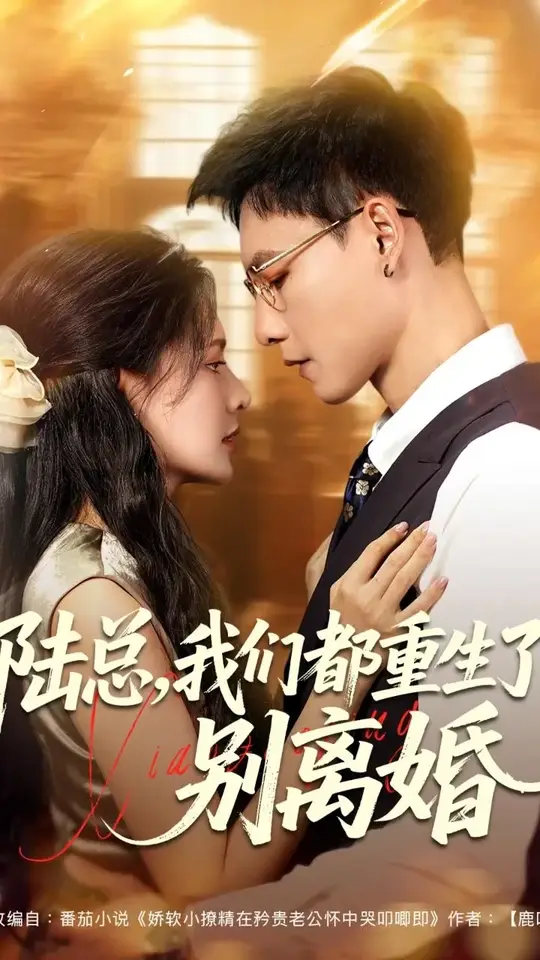 陆总我们都重生了别离婚全集