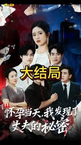 怀孕当天我发现了丈夫的秘密全集