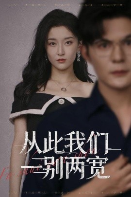 从此我们一别两宽全集