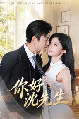 你好沈先生全集